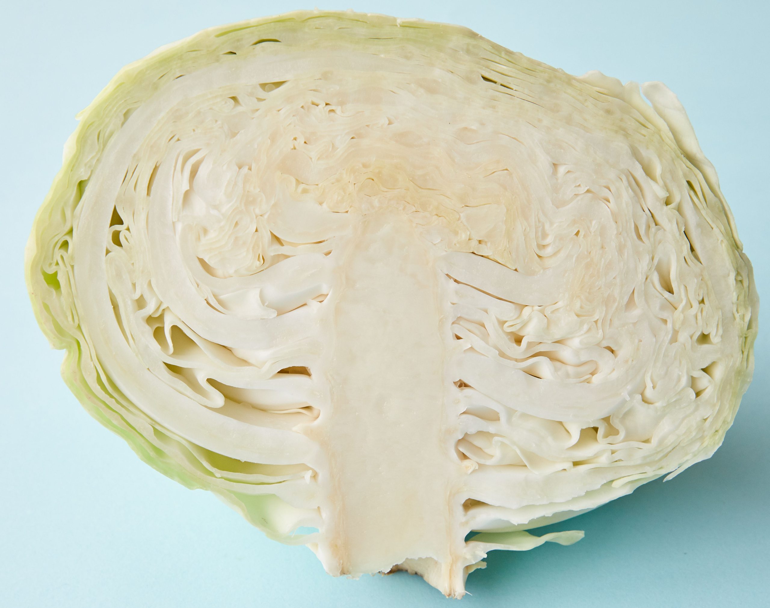 Demi-tête de chou blanc frais sur fond bleu